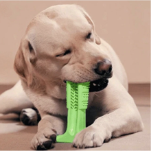 Dog Toothbrush Stick - Tf Smart Shop