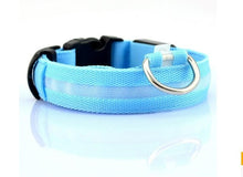 Load image into Gallery viewer, LED Flashing Dog Collar - Tf Smart Shop