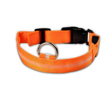 Load image into Gallery viewer, LED Flashing Dog Collar - Tf Smart Shop