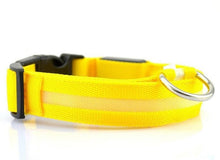 Load image into Gallery viewer, LED Flashing Dog Collar - Tf Smart Shop